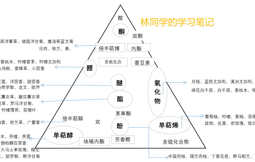 IFA学姐分享：从芳疗小白到英国IFA注册芳疗师，我做了这五步！