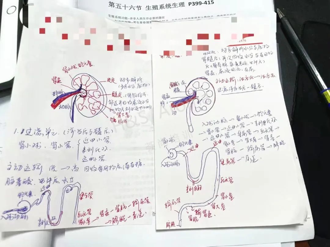 IFA芳疗考试：IFA国际芳香疗法证书考试如何学习和复习？