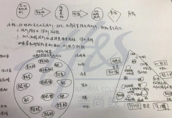 芳疗师笔记：感冒咳嗽痰多精油配方与按摩位置