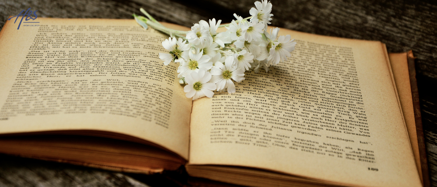 以油养肤，真的靠谱吗？一篇文章带你深入解读！