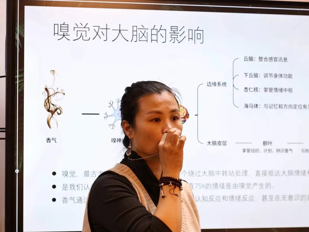 抽张卡牌，让植物告诉你答案 | 情绪卡牌沙龙回顾