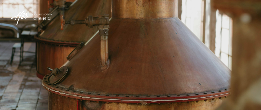 为何难以将精油纳入正式药物？深度剖析其化学成分的不确定之路