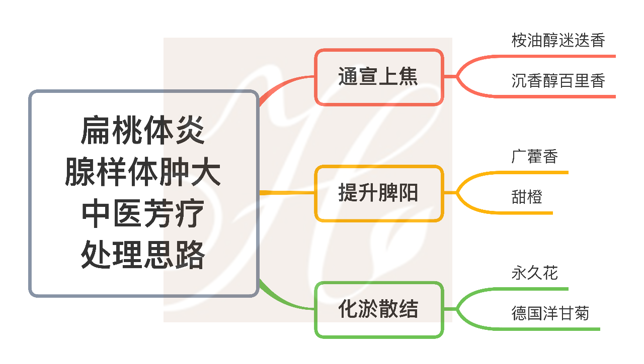 重庆中式芳疗之腺样体肿大和扁桃体炎精油配方