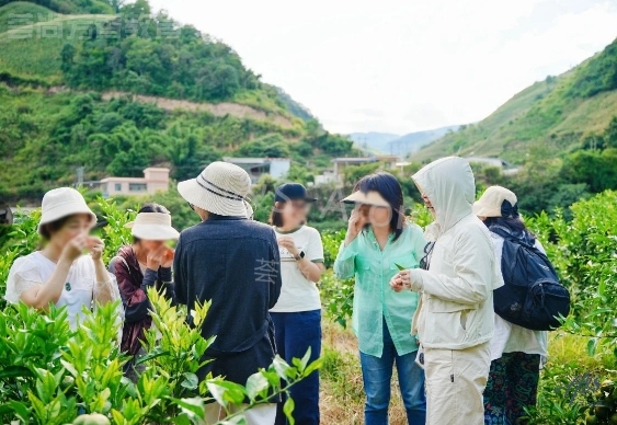 山南研学活动：探索更多芳香可能性！荟尚芳香植物溯源考察B线