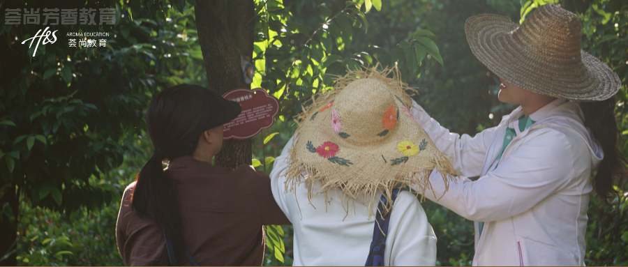 重庆研学考察｜荟尚邀你探秘芳香产业与种植奥秘