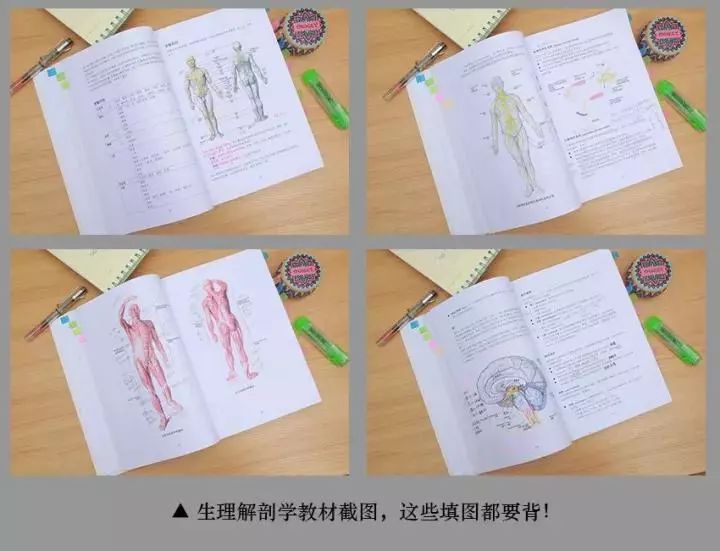 IFA国际认证芳疗课笔记