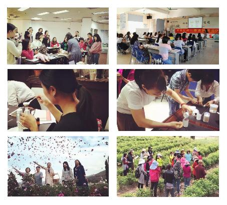 多元化项目 多元化项目