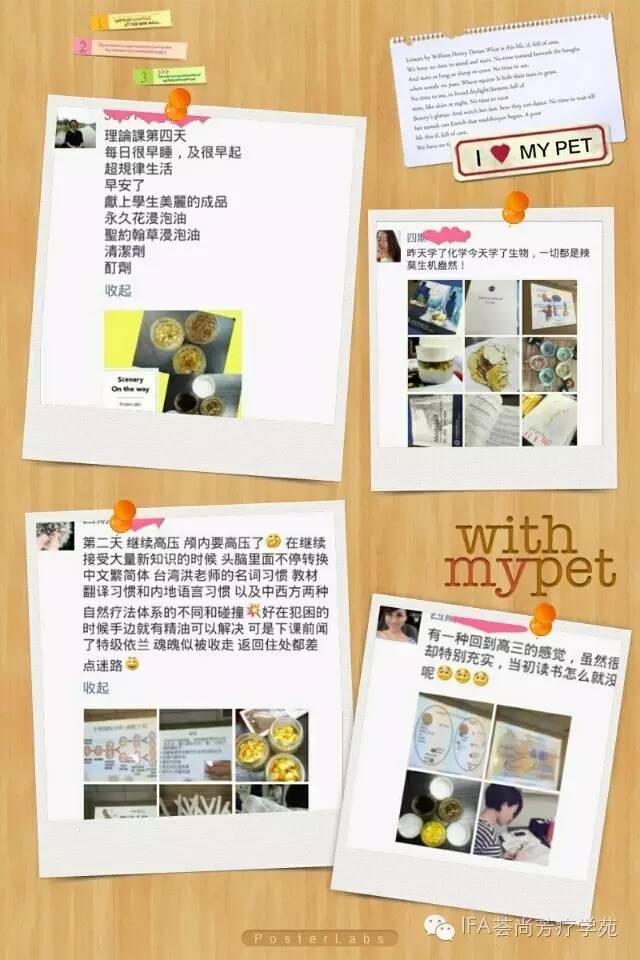 IFA学员分享