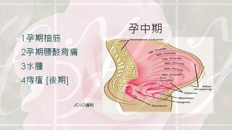 孕中期变化