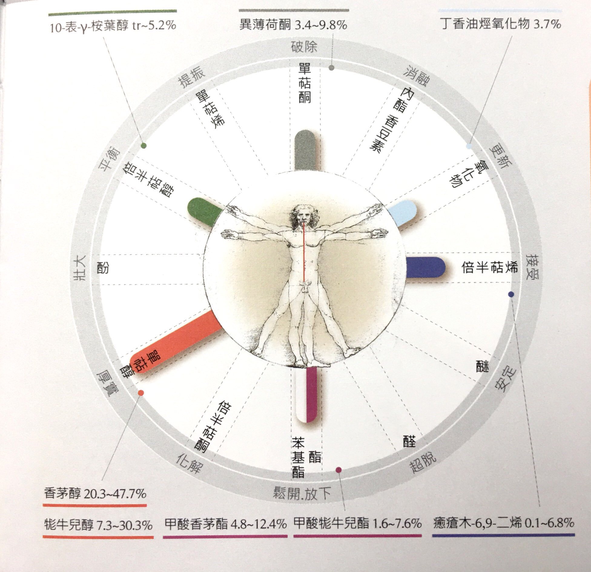 荟尚芳香精油调配课程