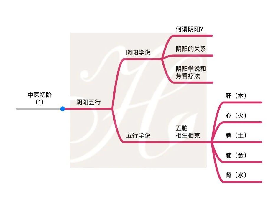 荟尚中医芳疗初阶课