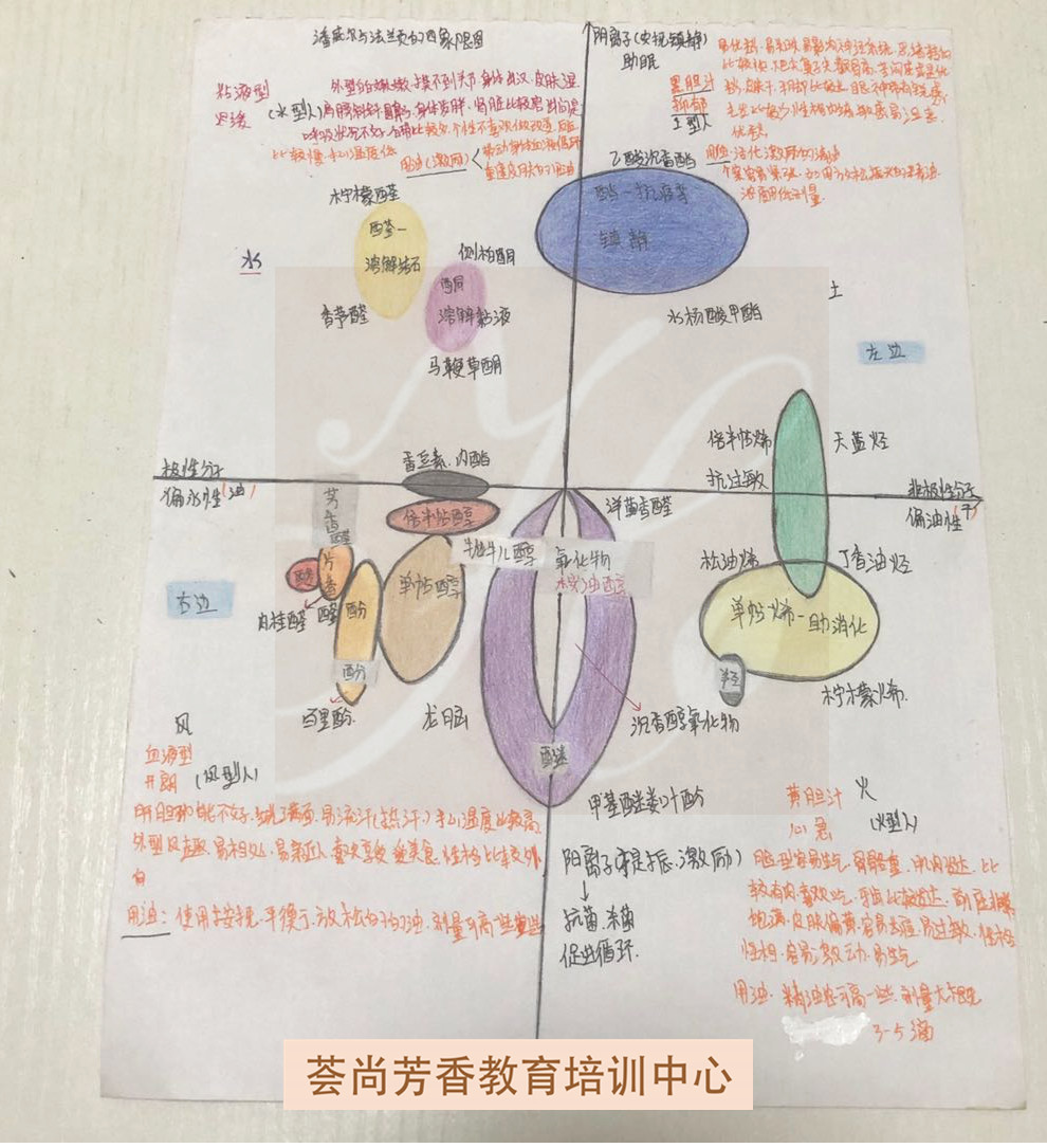 荟尚NAHA芳疗学员作业