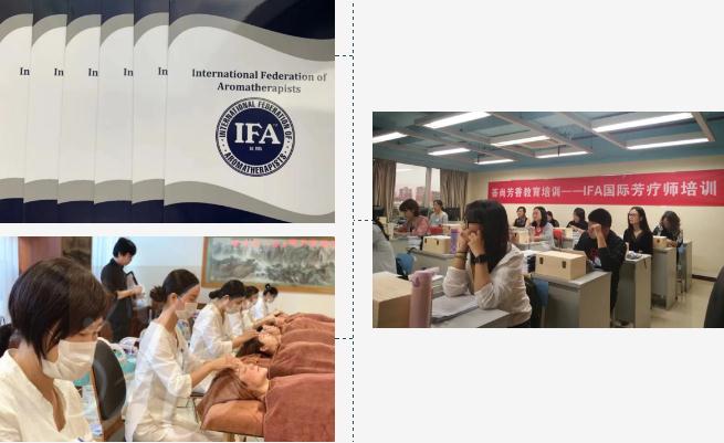华南首家IFA官方学校