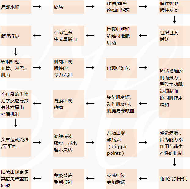 荟尚国际化芳香按摩课程