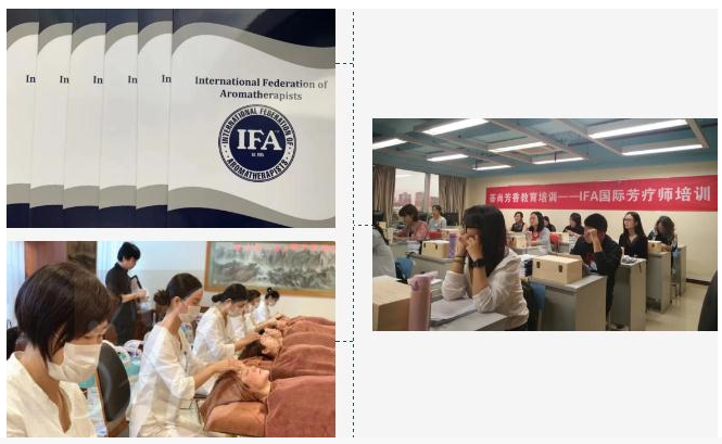 IFA（International Federation of Aromatherapists国际芳香疗法治疗师学会）