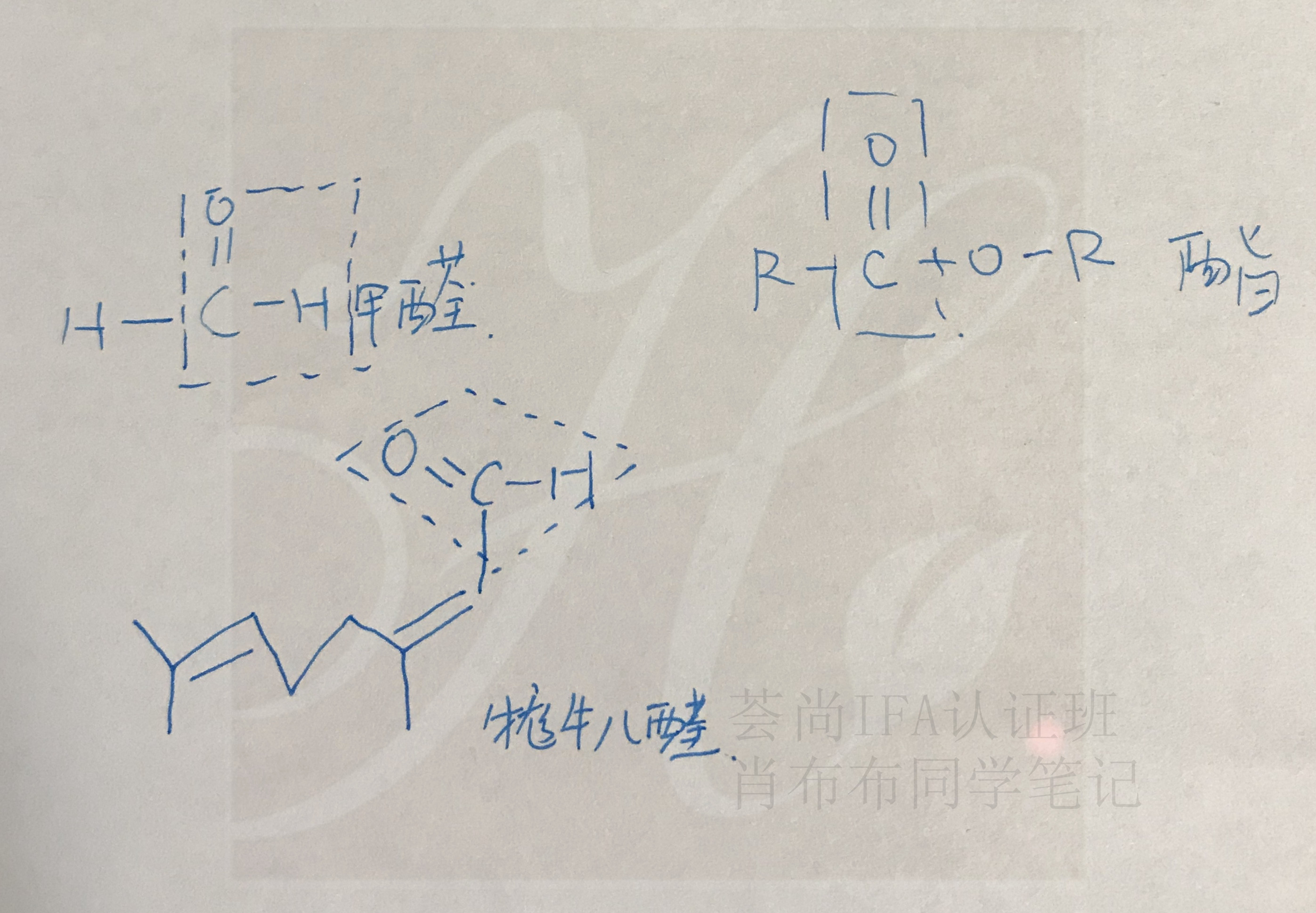 荟尚IFA课程IFA网络课学员作业