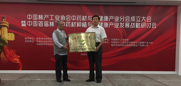 中国林工产业协会中药材与健康产业分会成立