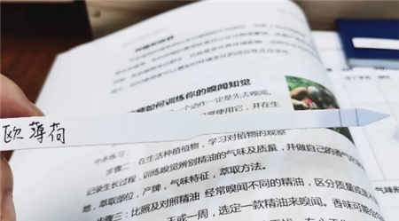 芳疗的学习方法怎样学习芳香疗法精油.png