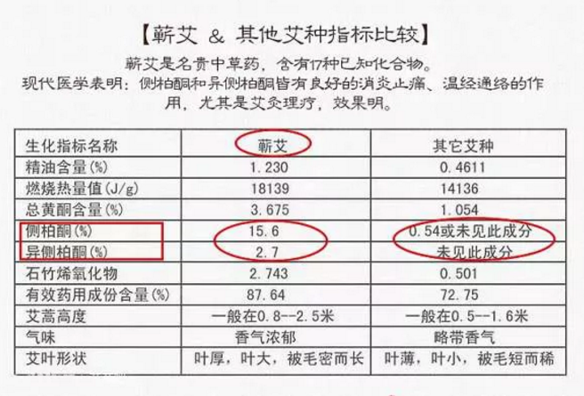 不同产地的艾草成分区别和功效差异