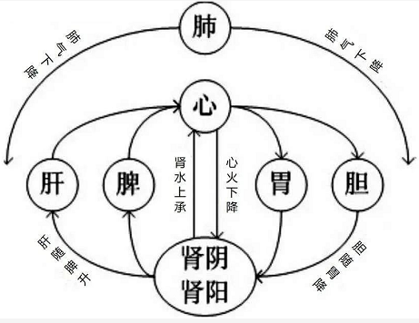 IFA芳疗师论文研究报告之表套题发炎的中医原理