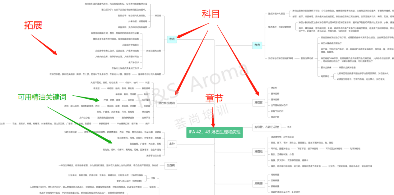 国际芳疗师教你怎样学习IFA芳疗师培训课程