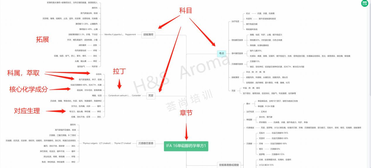 国际芳疗师教你怎样做笔记学习IFA芳疗师培训课程