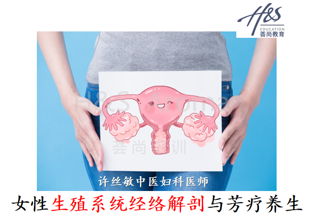 荟尚中医芳疗课程女性生殖系统经络解剖与芳疗养生
