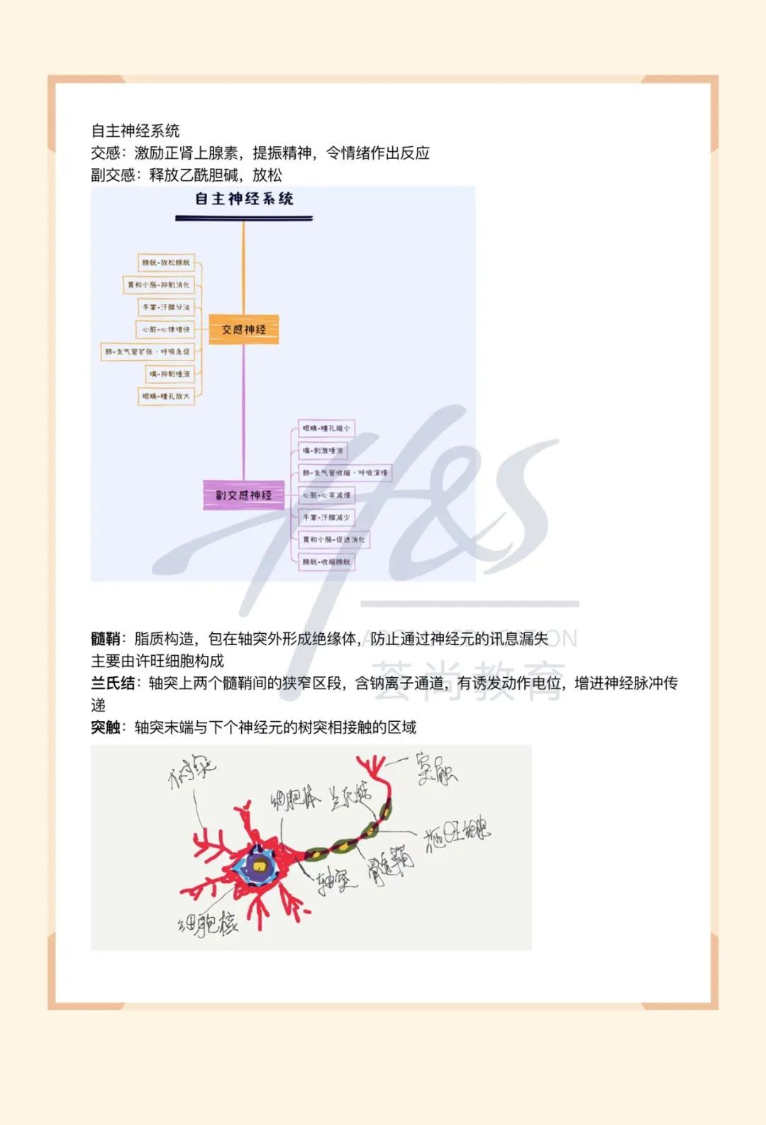 芳疗师考证学习资料IFA培训笔记