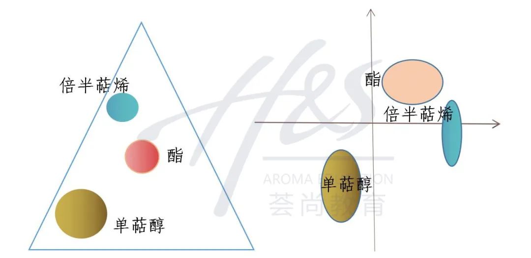 IFA国际芳疗师资格证书学习考试方法之三角形图与四象限图