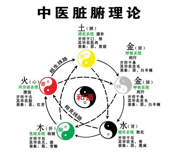 IFA芳疗师资格证培训之中医脏腑理论与芳香疗法调理