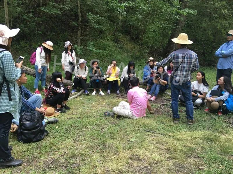 芳疗师怎样采摘天然芳香植物调香