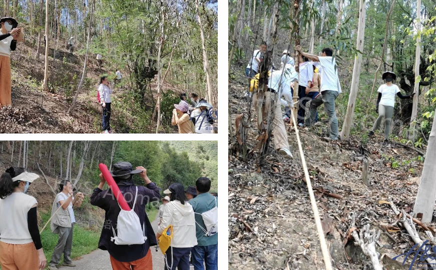 芳疗云南研学尤加利种植区考察