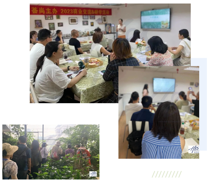 芳疗商业研学 | 芳香产业交流与芳香种植基地考察游学