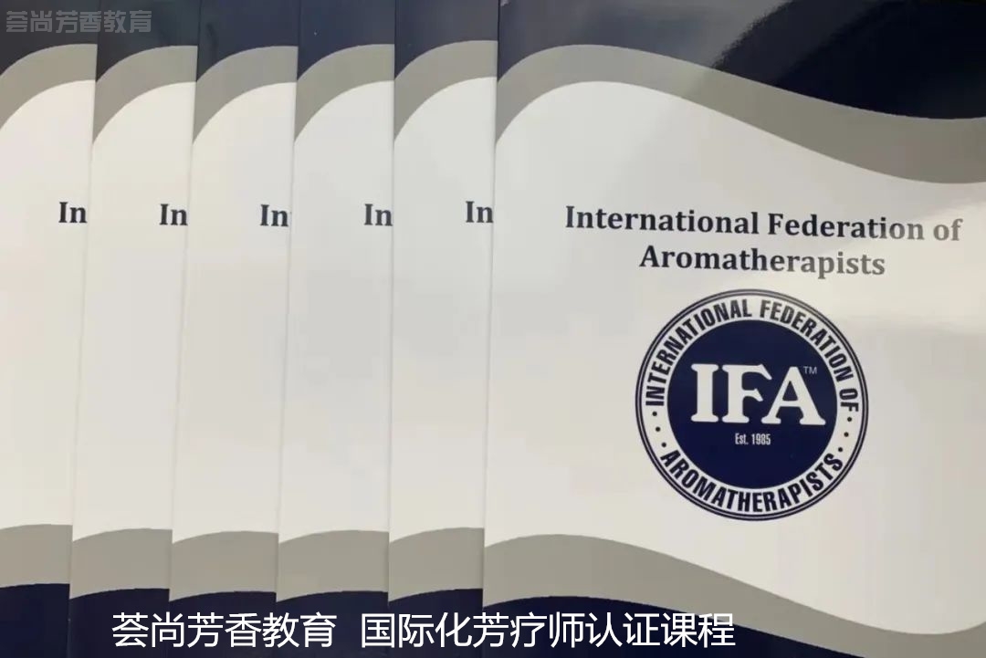 IFA认证培训