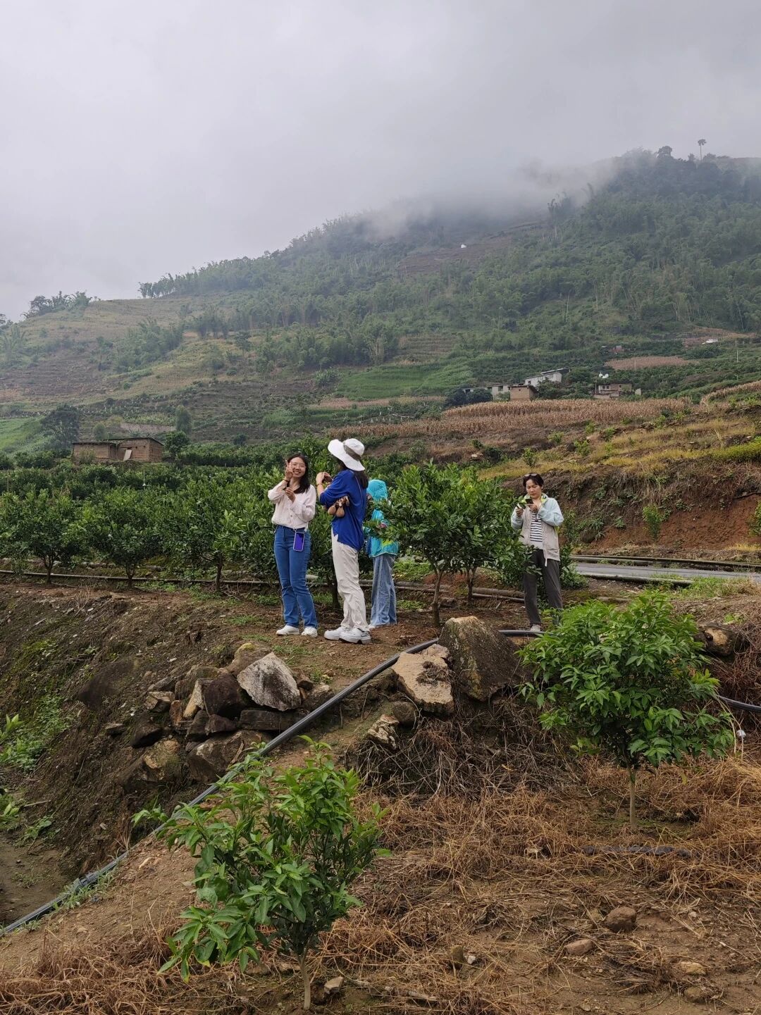 研学考察 研学考察
