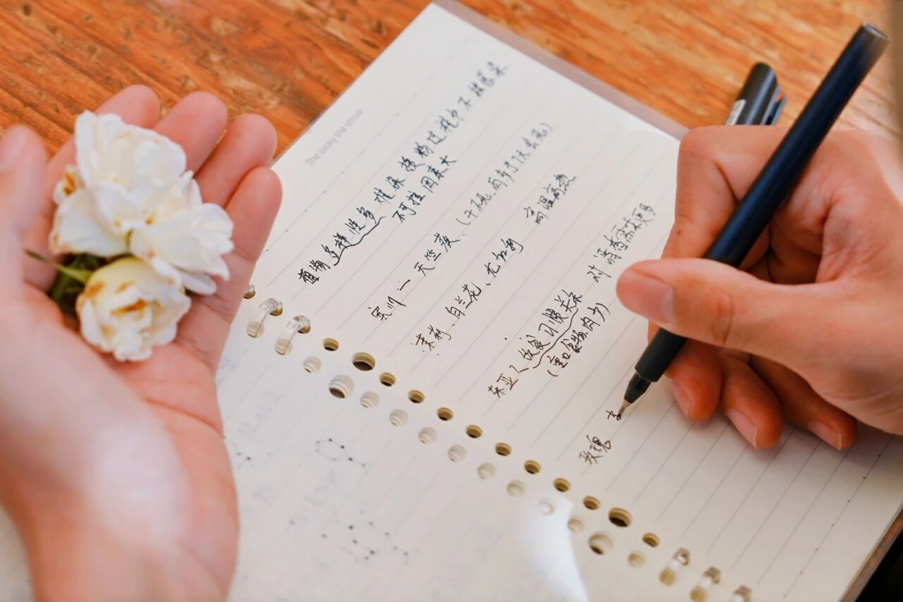 1765777759951348.jpg 微信图片_2025-12-15_134805_887.jpg