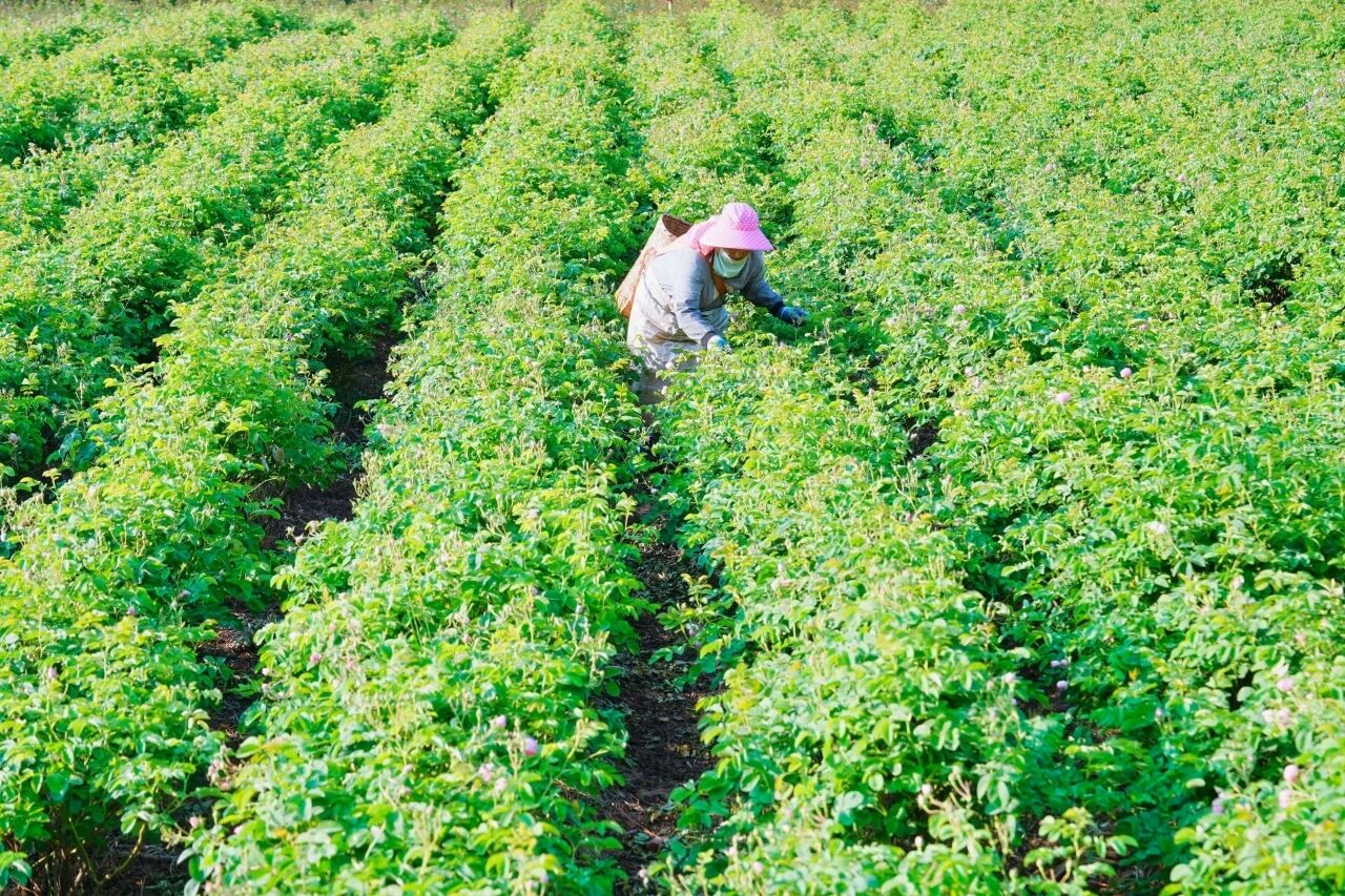 1765777793515063.jpg 微信图片_2025-12-15_134811_670.jpg