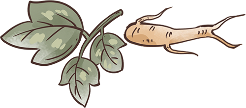 1765937633128041.png 5.png