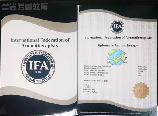 IFA认证培训课程