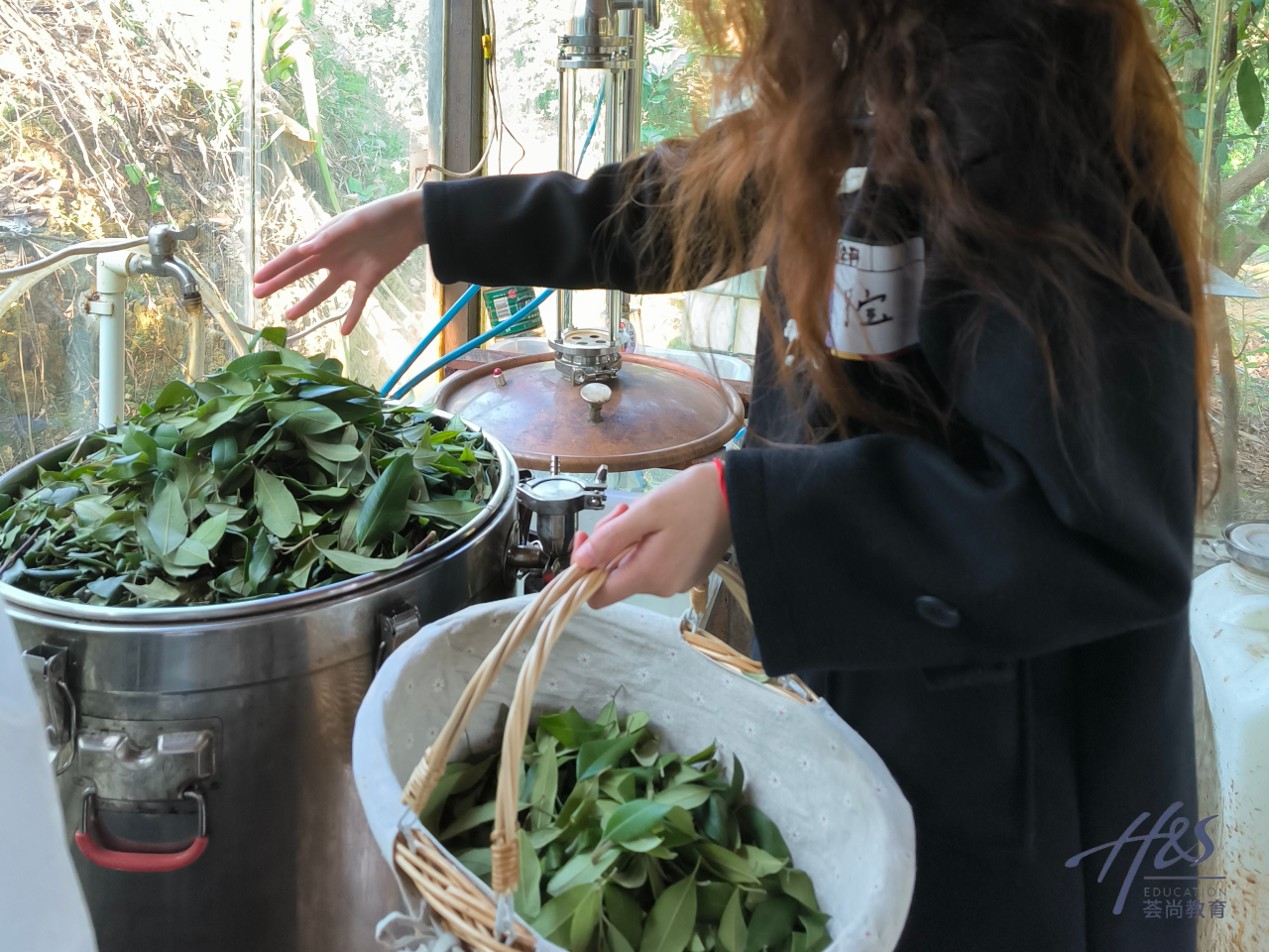 1767682346175920.png 7.png