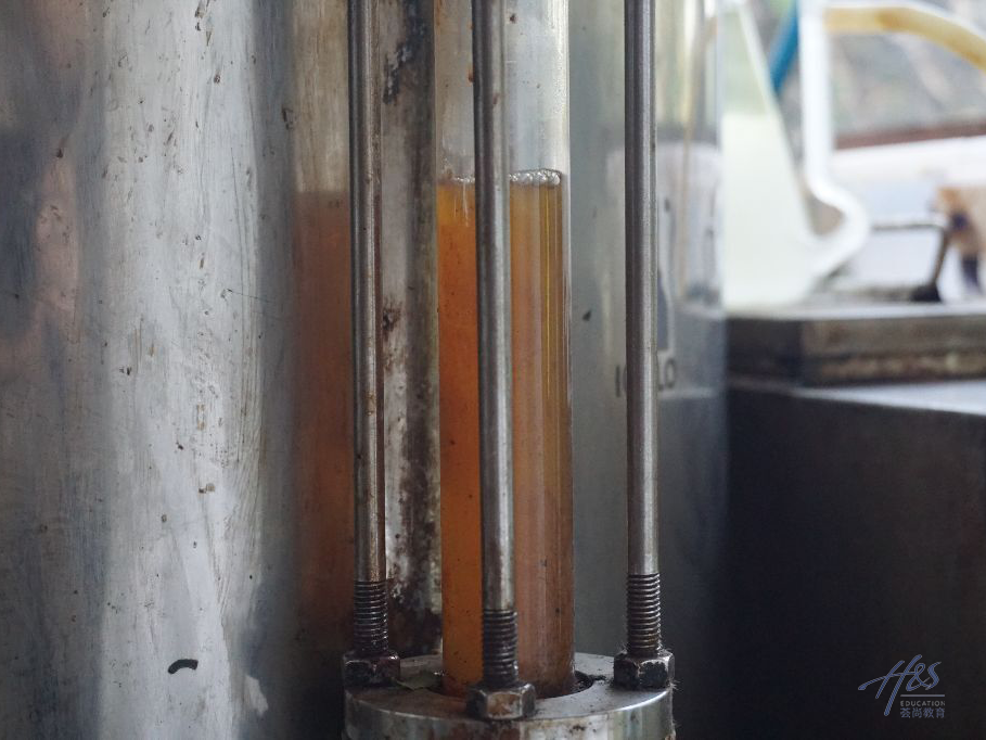 1767682354250161.png 8.png