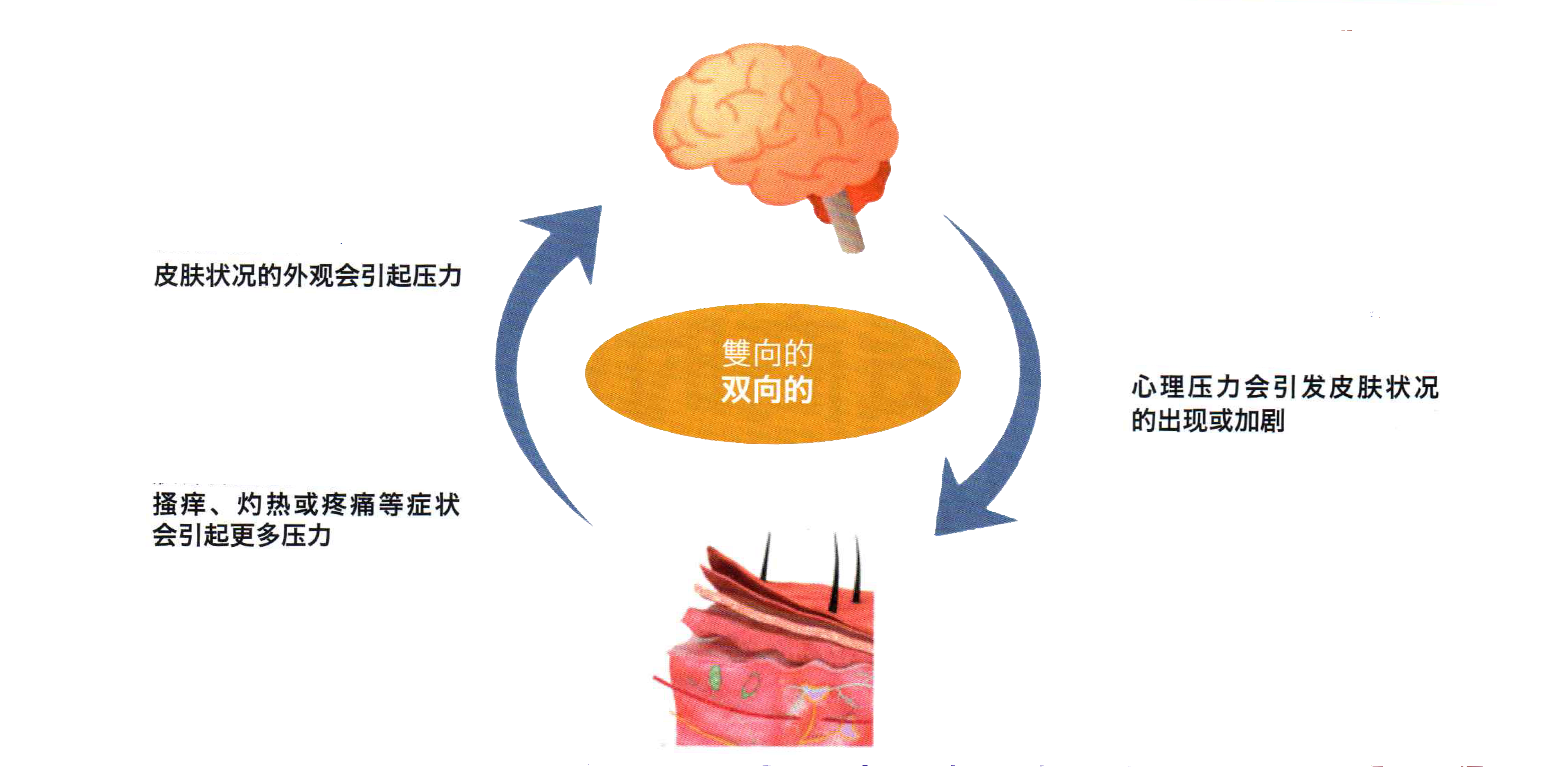 1770171761998880.png img20260202_12034253.png