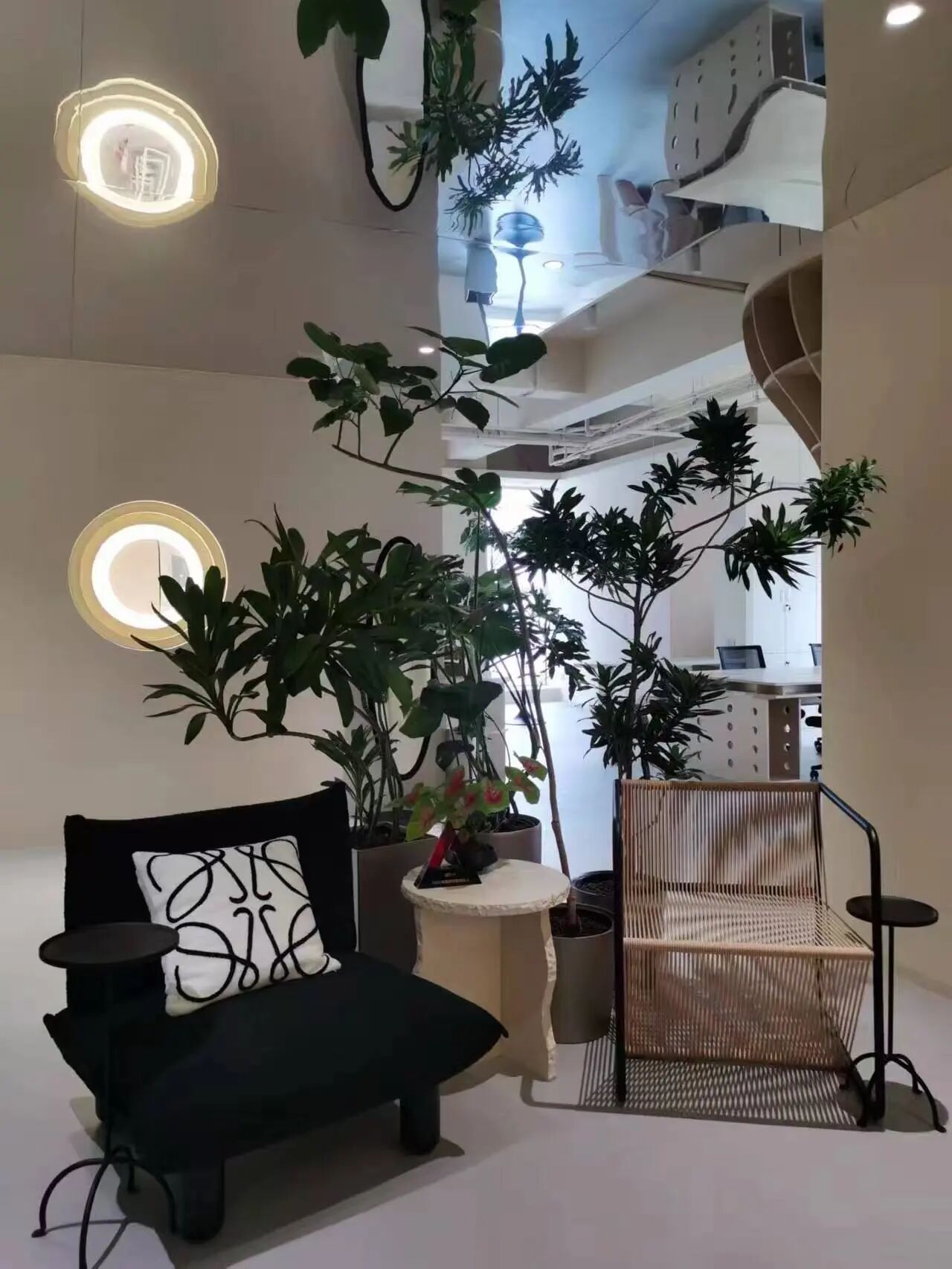 1772417946562226.jpg 2.jpg