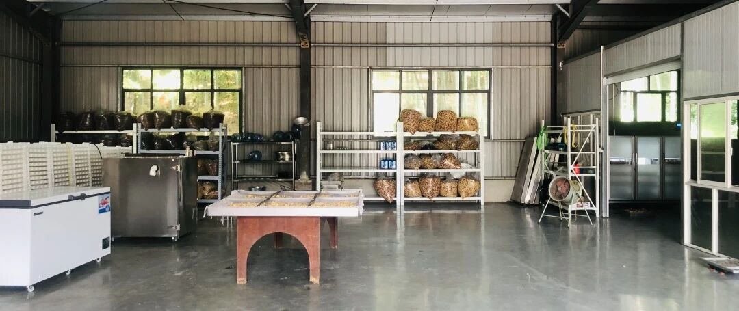 1772417970313622.jpg 5.jpg