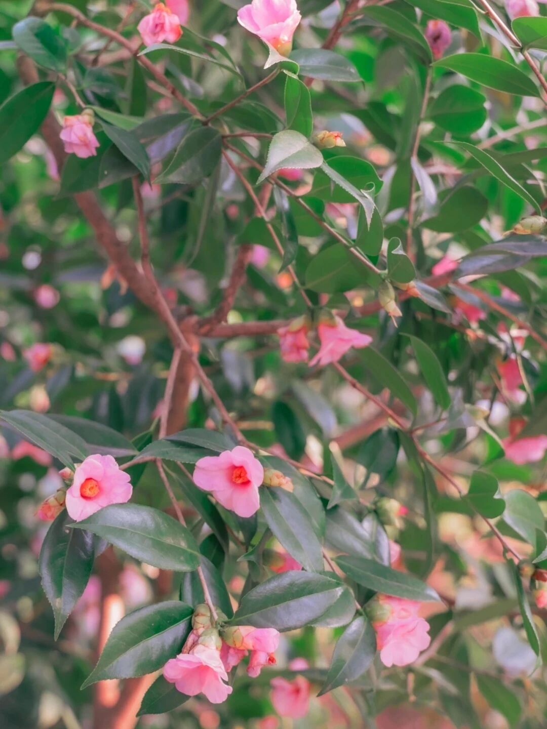 1772417977186364.jpg 6.jpg