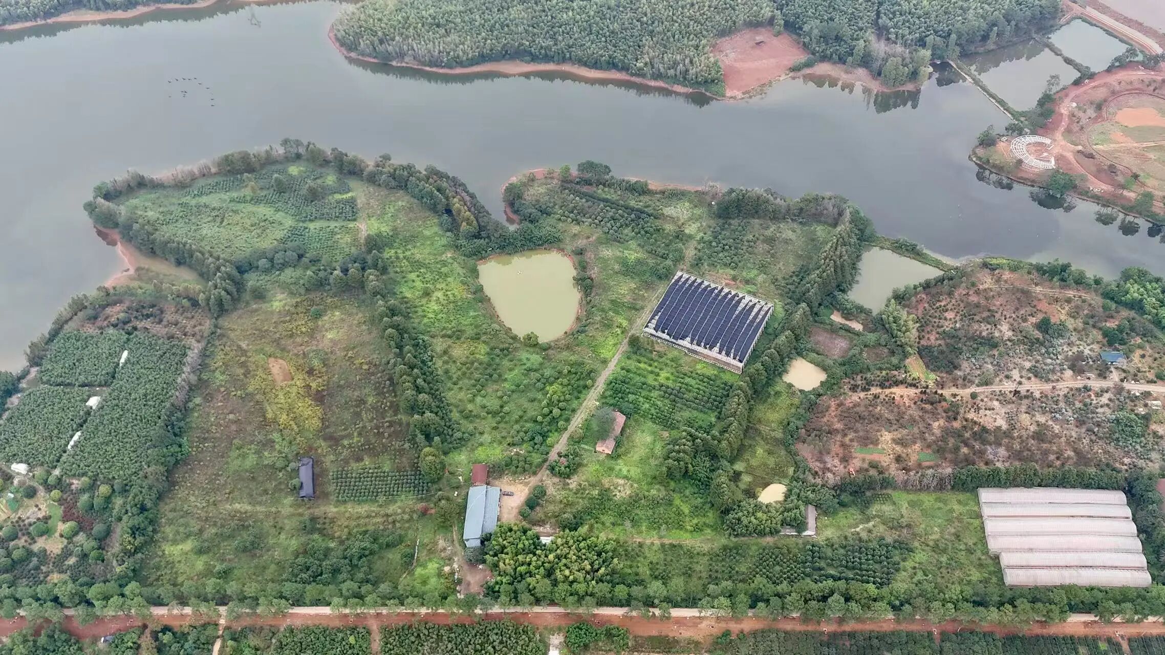 1772417992908927.jpg 8.jpg