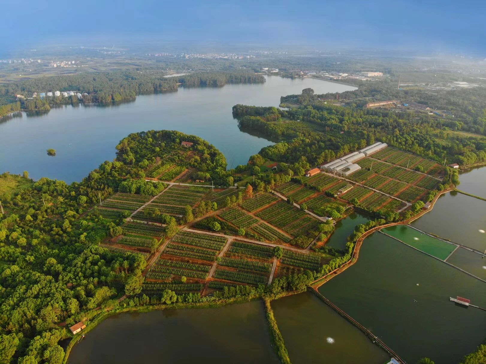 1772418012225029.jpg 10.jpg